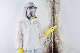 Why You Should Choose Our Mold Remediation Services in Heyworth, IL